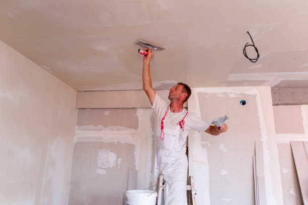 Best Exterior Painting  in Bulverde, TX